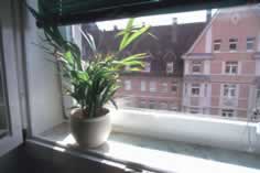 Blick aus dem Fenster