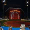 090508_GS_Zirkus_003