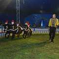 090508_GS_Zirkus_030