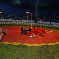 090508_GS_Zirkus_081