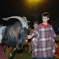 090508_GS_Zirkus_099