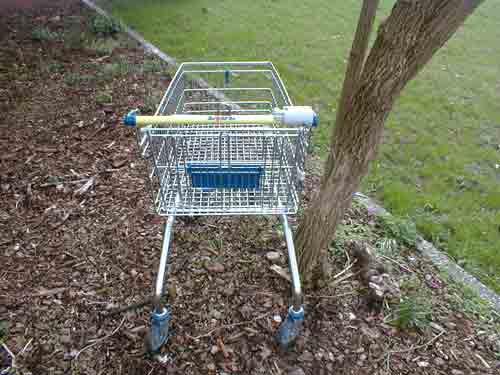 Einkaufswagen 01