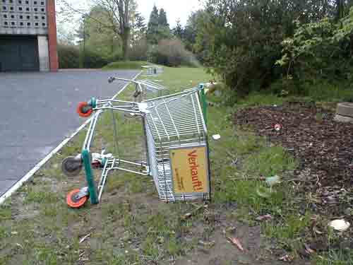 Einkaufswagen 02