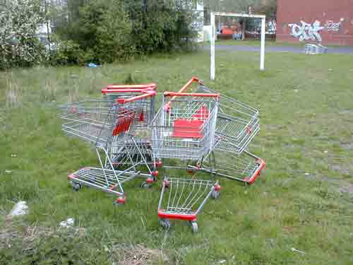 Einkaufswagen 03