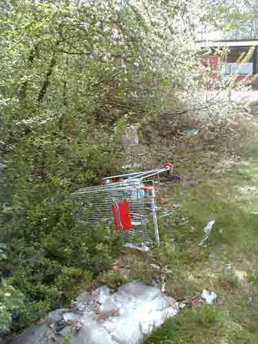 Einkaufswagen 04